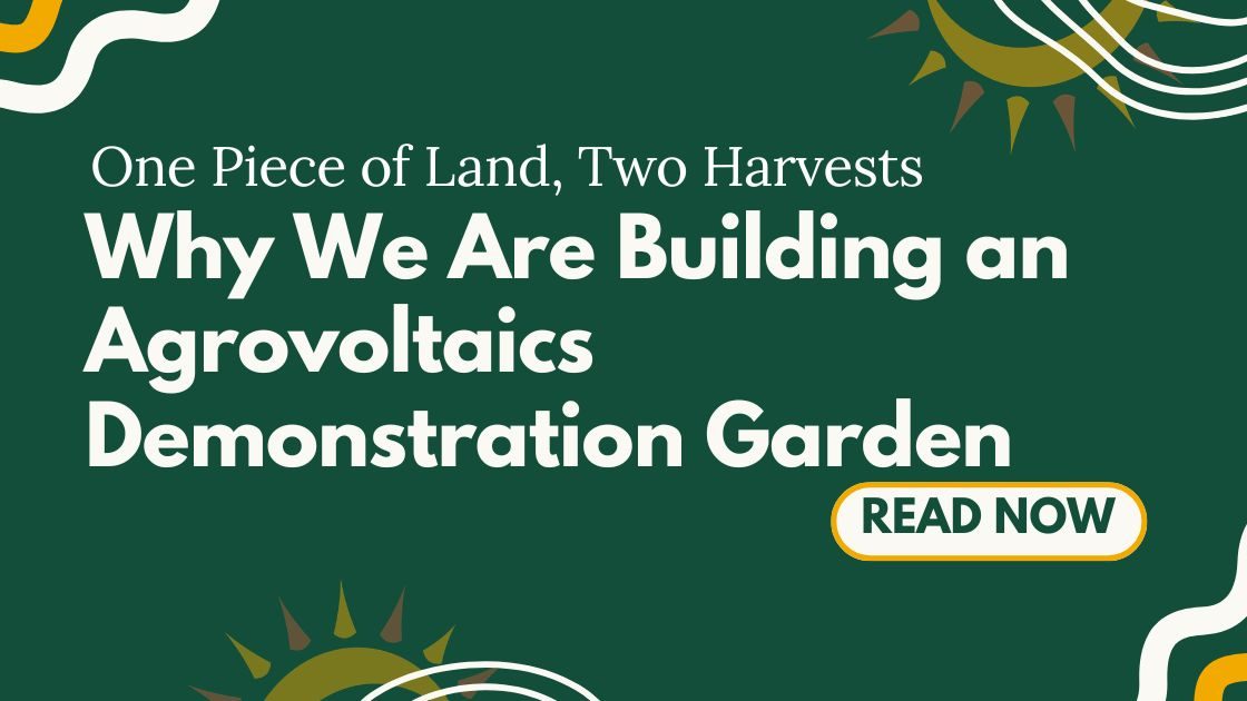 Agrovoltaics